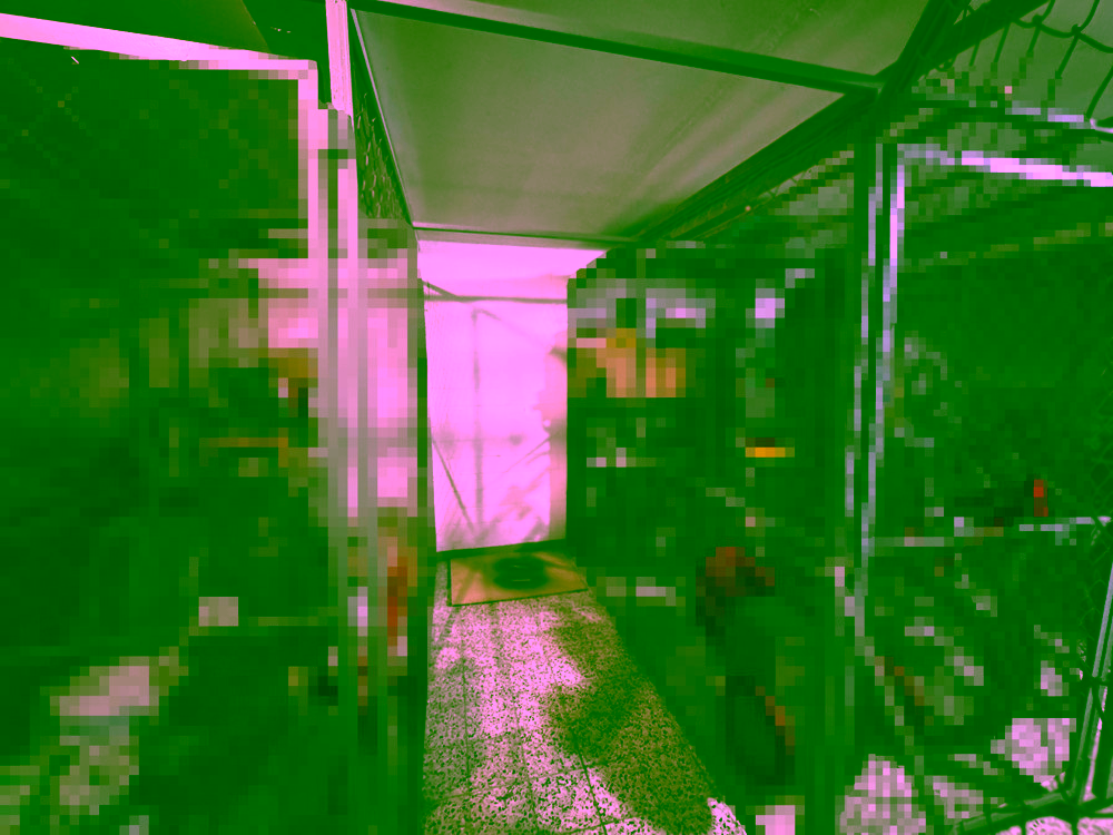 Helle 2-Zimmer-Wohnung mit Balkon und Westausrichtung – Ihr neues Zuhause wartet! - Keller