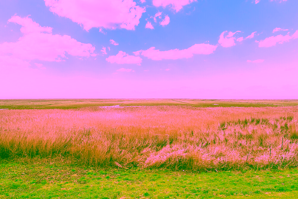 Traumhafte Wohnung: Wiesen, Wattenmeer und Weitblick direkt vor der Tür! - Ausblick