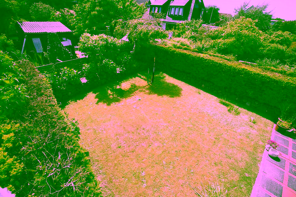 Renovierte Doppelhaushälfte mit Garten – zentral gelegen auf Sylt - Garten