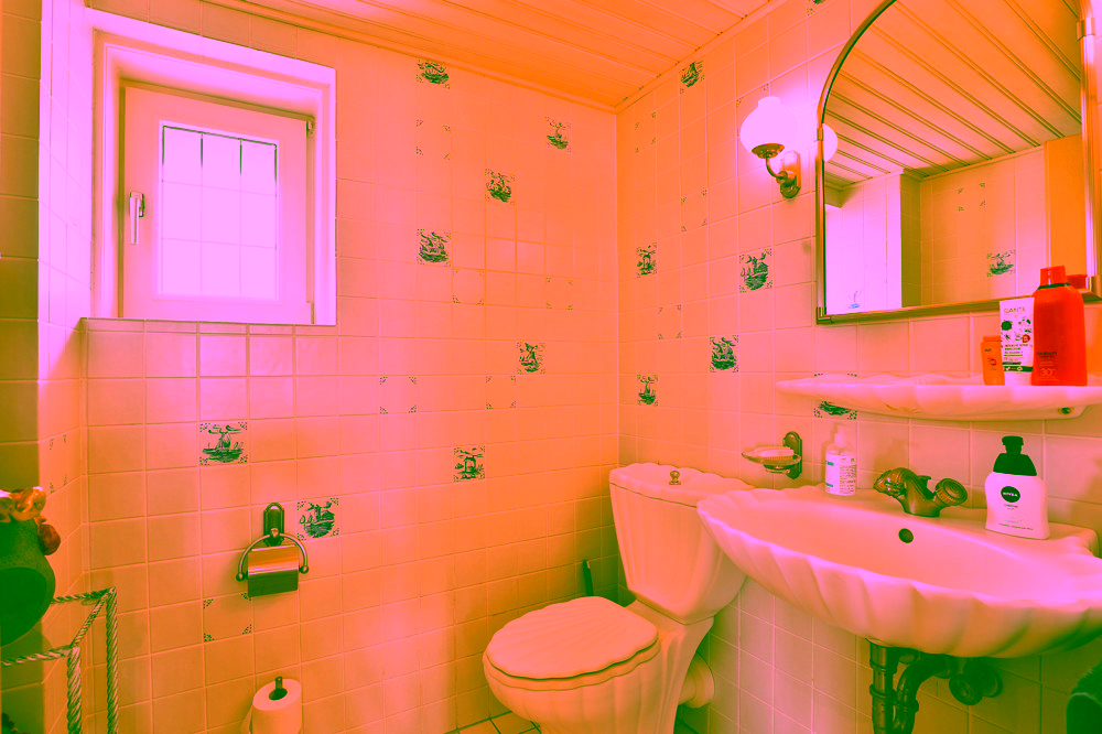 Traumhaus unter Reet mit sensationellem Meerblick - Gäste-WC EG