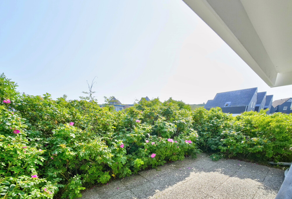 Südterrasse