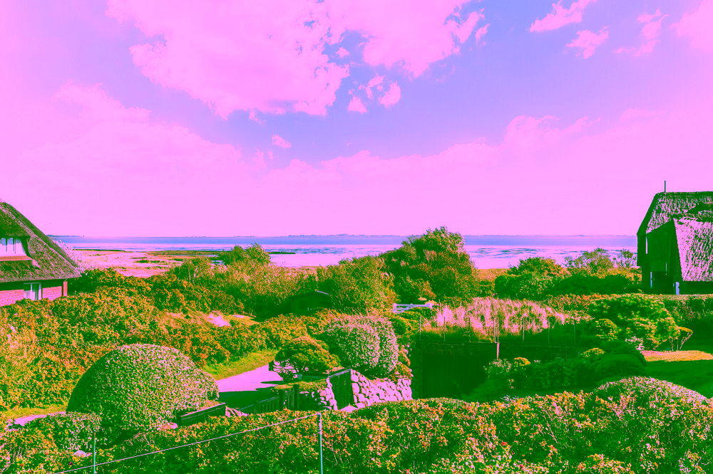 Reetgedeckte Drei-Zimmer-Wohnung mit Blick aufs Wattenmeer in Rantum - Blick