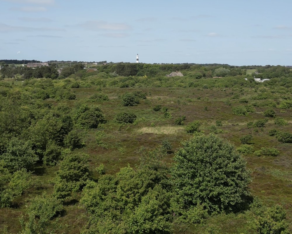 Provisionsfrei: Exklusives Neubau-Einzelhaus mit Ferienvermietungsgenehmigung - Luftaufnahme Umgebung