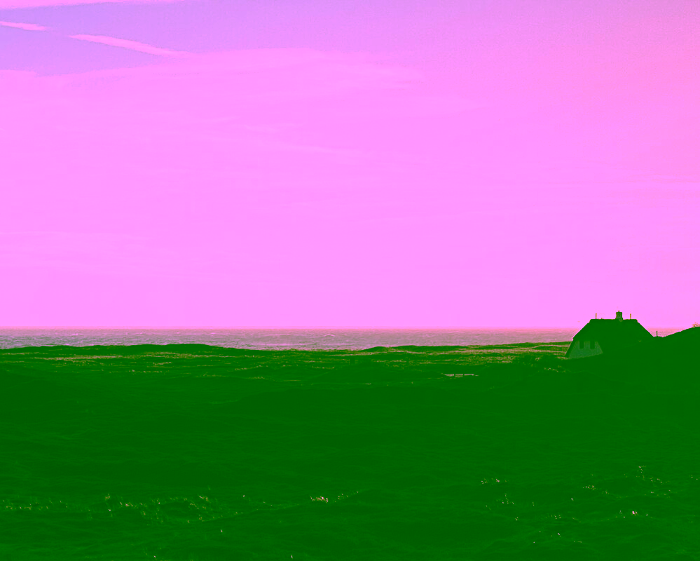 Traumgrundstück mit Weitblick und großem Entwicklungspotenzial - Ausblick in die Heide